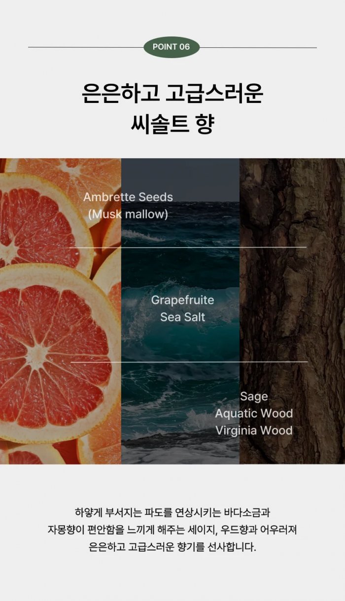 이젠나 다크그라스 탈모샴푸 씨솔트 향 노트 이미지