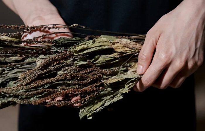 경남 산청산 왕질경이 원물 이미지