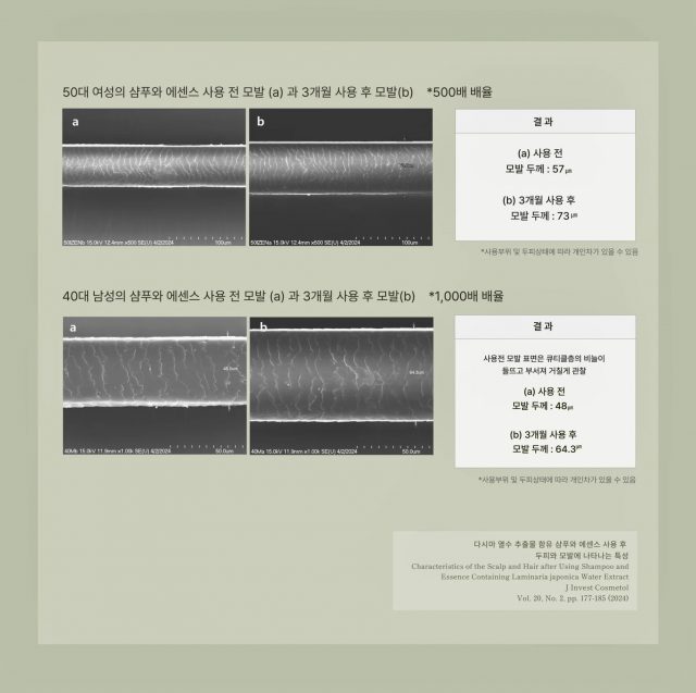 다시마 열수추출물 함유 샴푸·에센스 사용 전후 모발 두께 변화 연구 자료 이미지