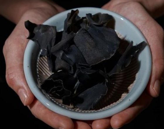 이젠나 두피각질케어 관련 원물 이미지